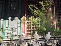 -潭柘寺景区