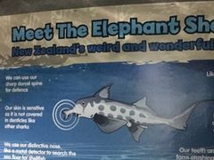 -凯莉-塔尔敦海洋生物水族馆
