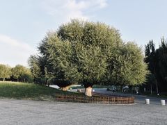 -敦煌莫高窟