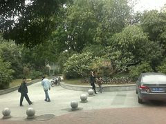 -晓港公园