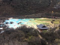 -黄龙山原始森林景区
