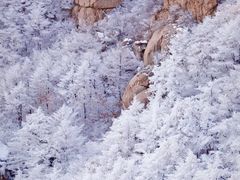-崂山巨峰游览区