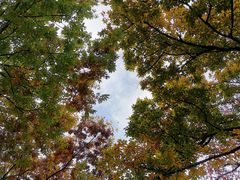 -上海市保健医疗中心