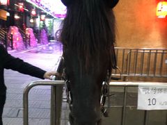 -南楚古都