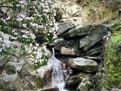 -萍乡武功山风景名胜区