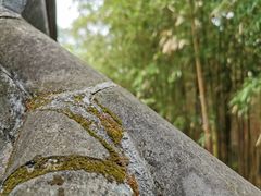 -大觉寺-停车场