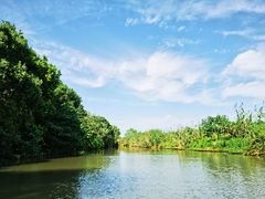 -同里国家湿地公园