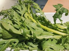 茼蒿-湯系·煲汤手艺人(东二环泰禾广场店)