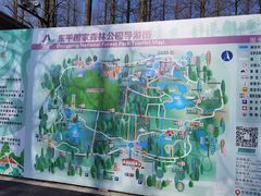 -东平国家森林公园