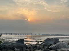 -宝安西湾红树林湿地公园