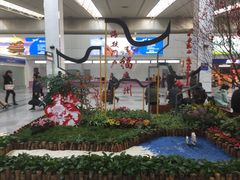 -福州长乐国际机场