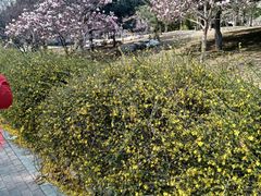 -燕郊植物园