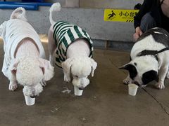 -HALO SOUL COFFEE·咖啡·甜品·简餐(嘉年华海信广场店)