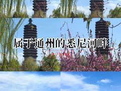 -西海子公园