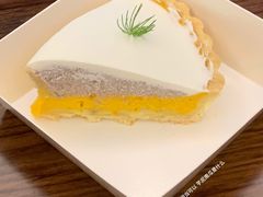 -猫里有甜