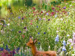 -上海共青森林公园