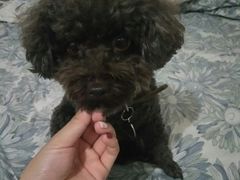 -喵汪宠物生活馆(涞坊路店)