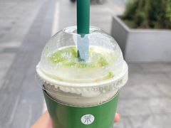 -茉酸奶(春熙路店)