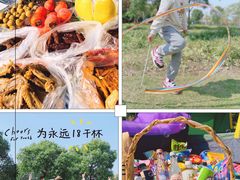 -贡湖湾湿地公园