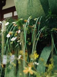 -御宴宫·宴会厅