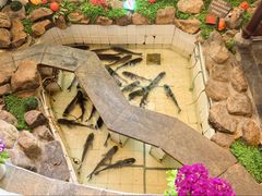 -春盛渔府(牛首山店)