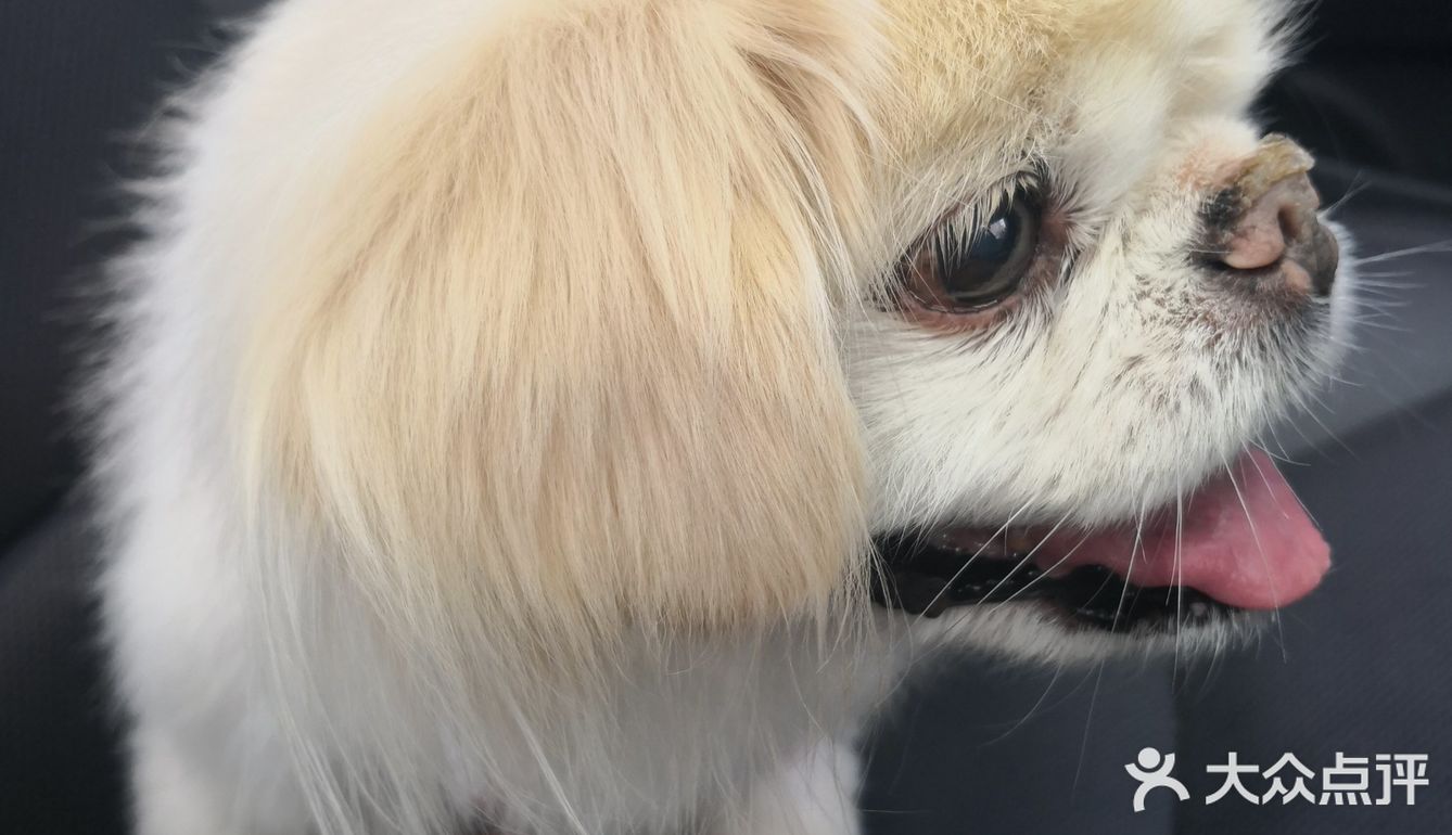 乒小乓,你想姐姐了吗?