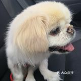 乒小乓,你想姐姐了吗?