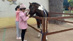 点击看大图 -宝燕乐园(闵行旗舰店)