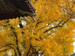 -红螺寺