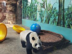 -石家庄市动物园