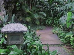 -广州兰圃