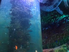 -青岛嘉年华主题乐园