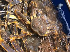 -海景壹号大酒店(滨湖店)