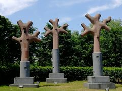 -洋湖国家湿地公园