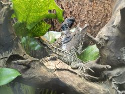 -酷嗒动物文化乐园(cutezoo西溪乐天城店)