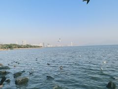 -深圳湾公园(南山区)