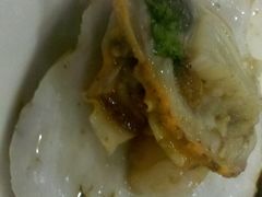扇贝-春华海鲜城(广场西苑店)