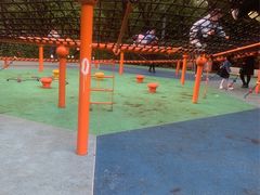 -安徽正宗牛肉板面(南十三路店)