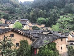-杨家堂村