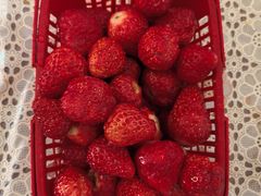 -一善里蔬意时光