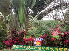 -海南热带野生动植物园