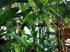 -北马山庄植趣咖啡