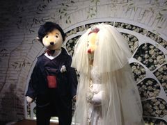 -济州岛泰迪熊博物馆