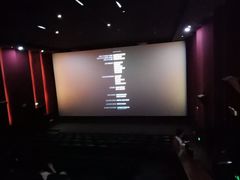 -中影新星影城(万科锦程店)