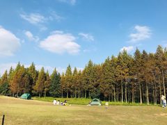 -良渚文化村