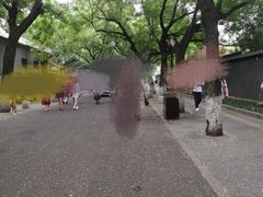 -北京国子监胡同