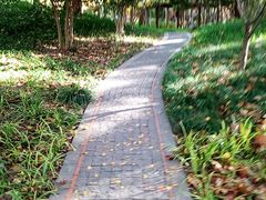 -徐家汇源景区-衡山公园