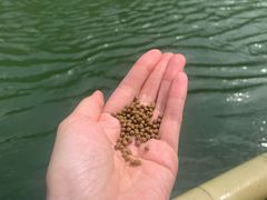 -九曲溪竹筏码头