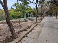 -丹樱生态园