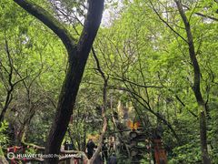 -天目湖山水园